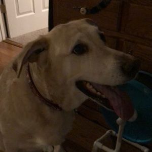 Meet your Posher, Angelia